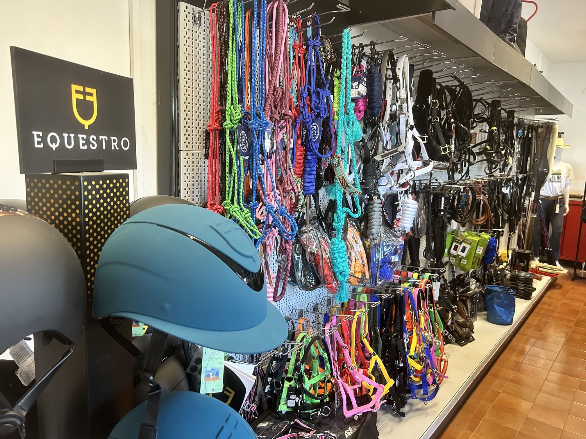Accessori e attrezzatura per equitazione